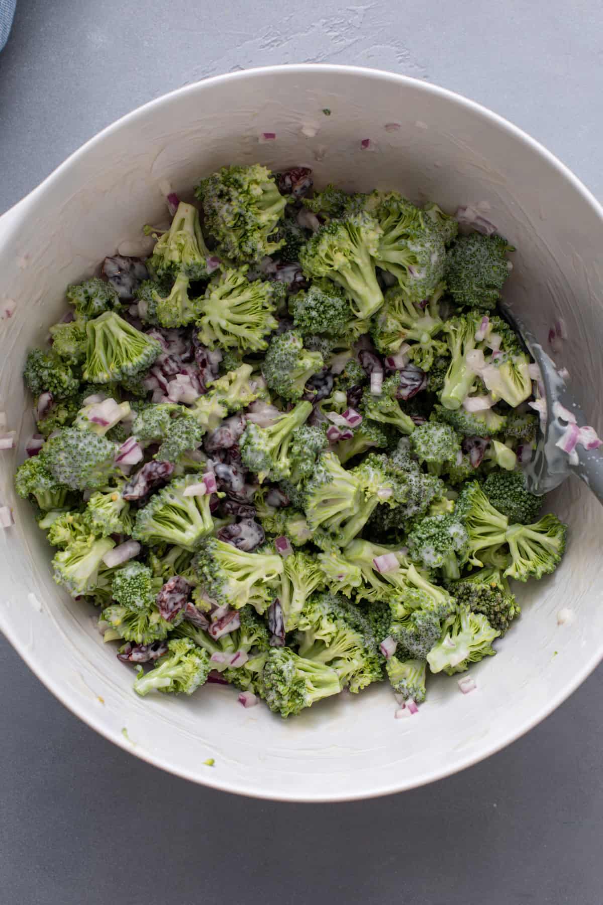Broccoli florets, dried cranberries, and diced red onion tossed with dressing in a white bowl.