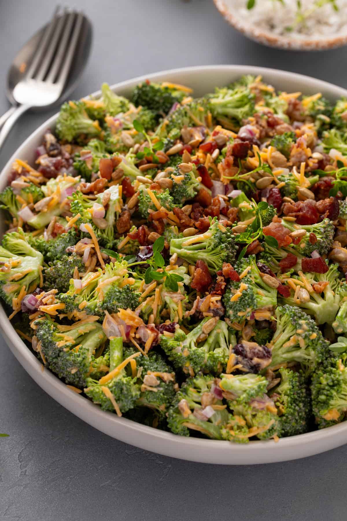 Creamy Broccoli Cranberry Salad