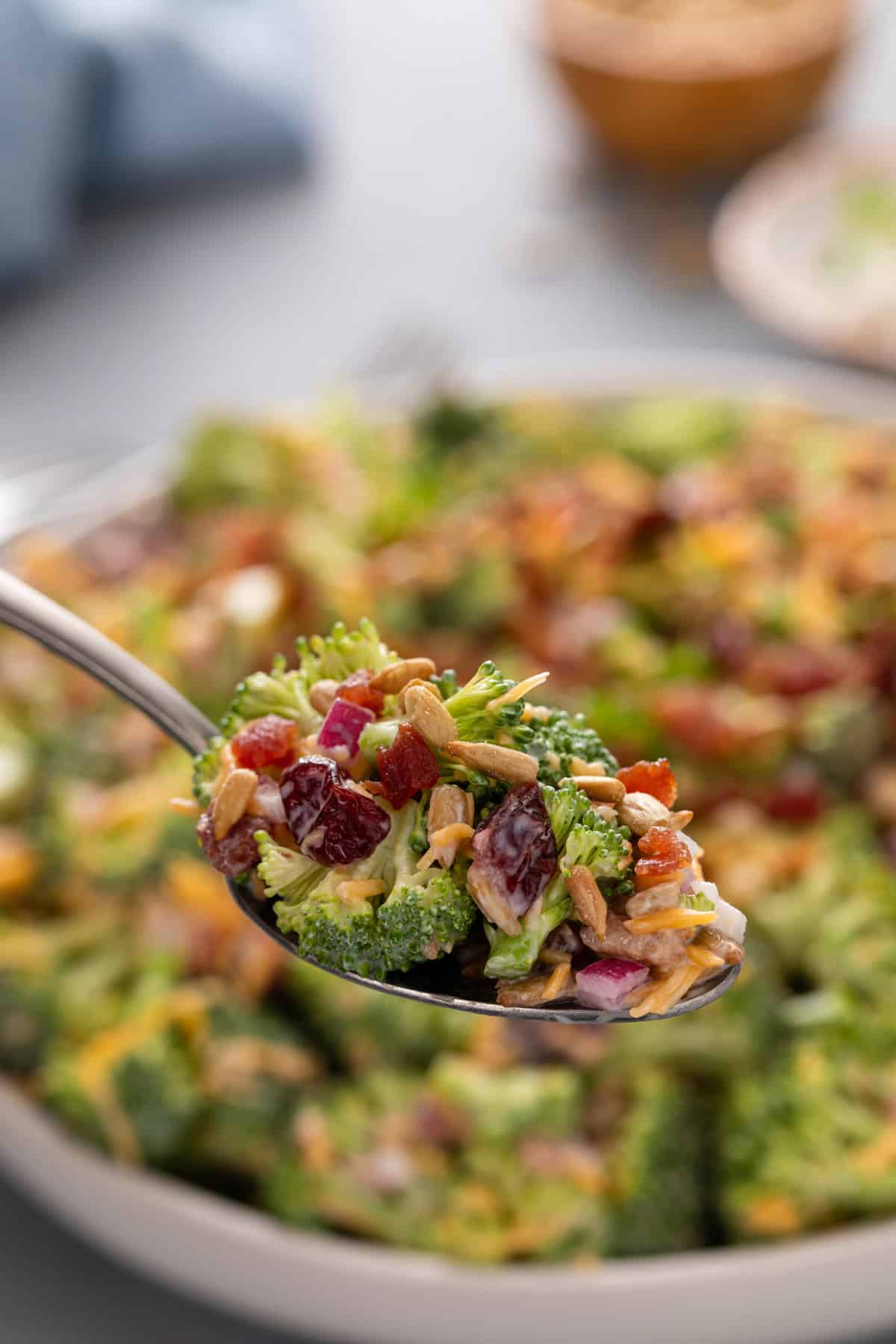 Spoon holding up a bite of broccoli cranberry salad.